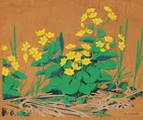 A. J. Casson, Marsh Marigold, colour silkscreen on wood