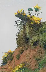 Carl Codger, Broom Near Dallas, pastel on paper