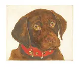 Jack Lee Cowin, Untitled - Chocolate Labrador with Red Collar #A/P, 1999, colour etching on paper