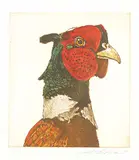 Jack Lee Cowin, Untitled - Rooster Pheasant #A/P, 2006, colour etching on paper