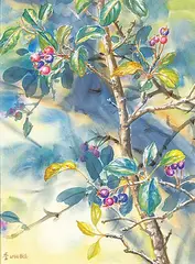 Wee Lee, Saskatoon Berry, acrylic on silk