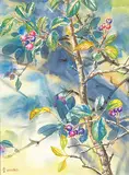 Wee Lee, Saskatoon Berry, acrylic on silk