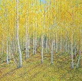 Sylvain Voyer, Birch Grove Tawatinaw Valley, Fall 2007, 2007, acrylic on canvas