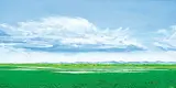 Sylvain Voyer, Untitled - Summer Clouds, 2006, acrylic on canvas