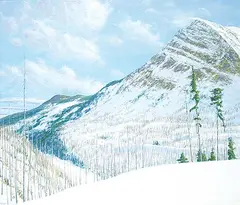 Sylvain Voyer, Untitled - Ski Country, 1996, acrylic on canvas