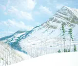 Sylvain Voyer, Untitled - Ski Country, 1996, acrylic on canvas