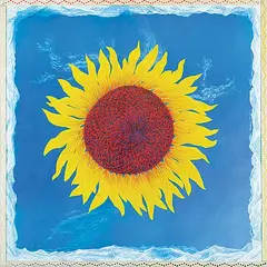 Sylvain Voyer, Untitled - Sol Flower, 1995, offset lithograph on paper