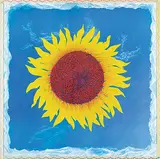 Sylvain Voyer, Untitled - Sol Flower, 1995, offset lithograph on paper