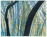 Ed Bartram, Rock Arc, Canadian Shield Series #29/30, 1970, colour etching on paper