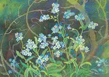 Annora Brown, Untitled - Forget-Me-Not