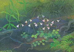 Annora Brown, Twinflower, Linnaea Borealis, Pepper, gouache on paper