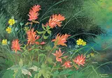 Annora Brown, Untitled - Red Flowers