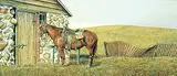 Leonard James Gibbs, Slim's Horse
