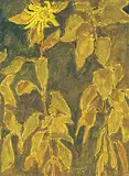 Untitled - Sunflowers by Robert F.M. McInnis, 1984, oil on canvas, sold Nov 2018