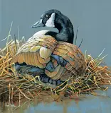 Page Ough, Patience - Canada Goose, acrylic on wood board