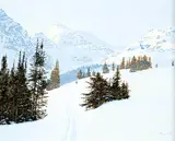 Ted Raftery, Mt. Athabasca from Nigel Peak, 1989, acrylic on canvas
