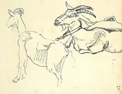 Frederick Varley, Goats, ink on paper