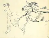 Frederick Varley, Goats, ink on paper