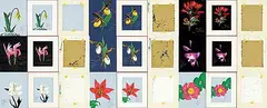 Randy Fehr, Collection of Nine Flower Paintings, 1974, acrylic on paper