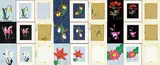 Randy Fehr, Collection of Nine Flower Paintings
