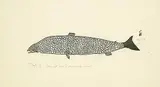 Luke Iksiktaaryuk, Trout #30/30, 1969, stonecut on paper