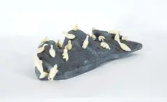Prime Okalik, Untitled - Plentiful Hunting Grounds, stone and bone carving