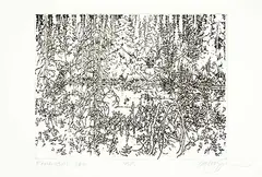 Edward William Godwin, Kananaskis Fall #PP, etching on paper
