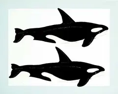 David Thauberger, Whale Print #A/P, 1979, colour silkscreen on paper