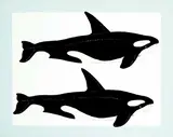 David Thauberger, Whale Print #A/P, 1979, colour silkscreen on paper
