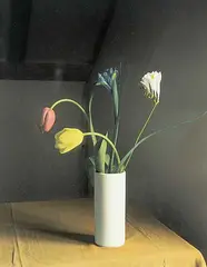 James Daubney, Untitled - Vase of Tulips, hand coloured black and white photograph on paper
