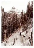 Byron Harmon, Johnston Canyon and Pilot Mountain #14/100