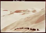 Byron Harmon, On Jonas Pass