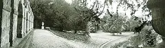 Geoffrey James, Roasham, Oxon, 1986, black and white photograph on paper