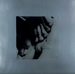 Tamara Maggio, Touch / Feel III #3/5, digital print on metal