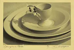 John A. Vanderpant, Spring on a Platter, black and white photograph on paper