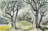 Henry George Glyde, Trees