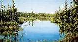 Andrew Kiss, Untitled - A View of the Lake