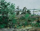 William Goodridge Roberts, Shawanaga Bay