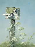 Geoffrey Allan Rock, Queen Anne's Lace, 1971, oil on wood board