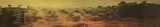 Sarah Nind, Vue Panoramique #6, 2003, oil on ortholith film board