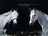 Andre Petterson, Dyad, 2009, mixed media on wood panel