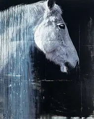 Andre Petterson, Shawl 3, 2008, mixed media on panel