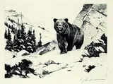 Carl Rungius, Face to Face, 1931, etching on paper