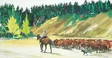 Jack Hambleton, Untitled - Riding the Herd, watercolour on paper