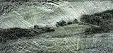 Mark Holliday, #98-8 Landscape, 1998, oil and wax on paper