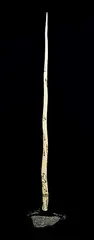 . Eegeevudloo, Untitled - Narwhal Tusk on Seal Base with Arctic Scenes, 1977, dark green stone and bone