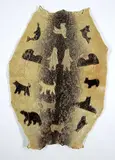 Qatsoq Evis, Untitled - Circle of Life, sealskin stitching