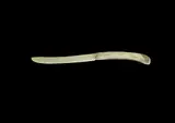 Obed Nanukluk, Untitled - Bone Knife with Handle, 1975, bone carving