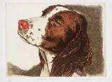 Jack Lee Cowin, Upland Series [Dog Looking Left] #A/P, 1998, colour etching on paper
