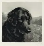 Heywood Hardy, Untitled - The Faithful Companion